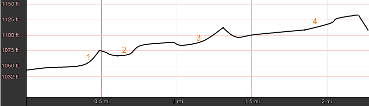Linden Loop -- lower loop profile