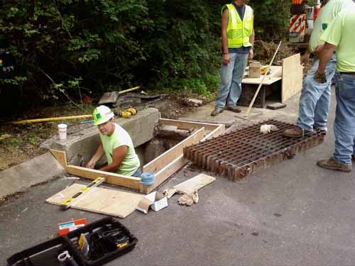 Elmwood Cycle Traps Fixed