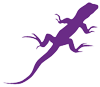 Purple Lizard